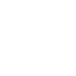 miCHV