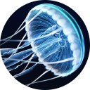 Jellyfish Wallpaper icon