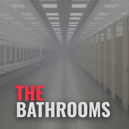 Box shot of THE BATHROOMS