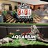 Aquarium in Cafe