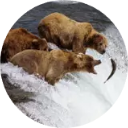 Katmai National Park And Preserve New Tab icon
