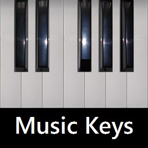 Music Keyboard technical specifications for laptop