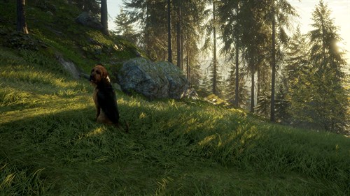 theHunter: Call of the Wild™ - Bloodhound