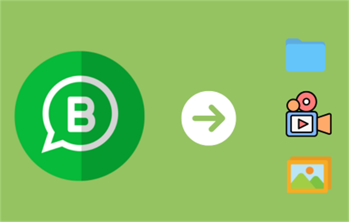 WhatsApp Media & Documents Downloader