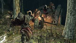 DARK SOULS™ II: Scholar of the First Sin screenshot 2