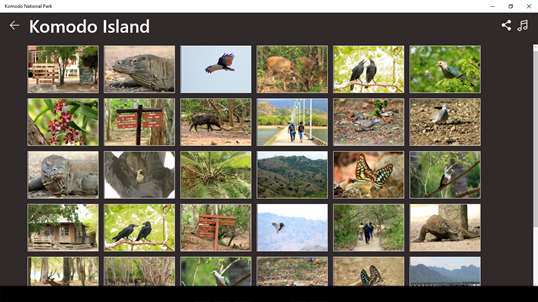 Komodo National Park screenshot 3