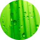 Green Wallpaper New Tab icon