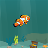 Little Fish Big Pond