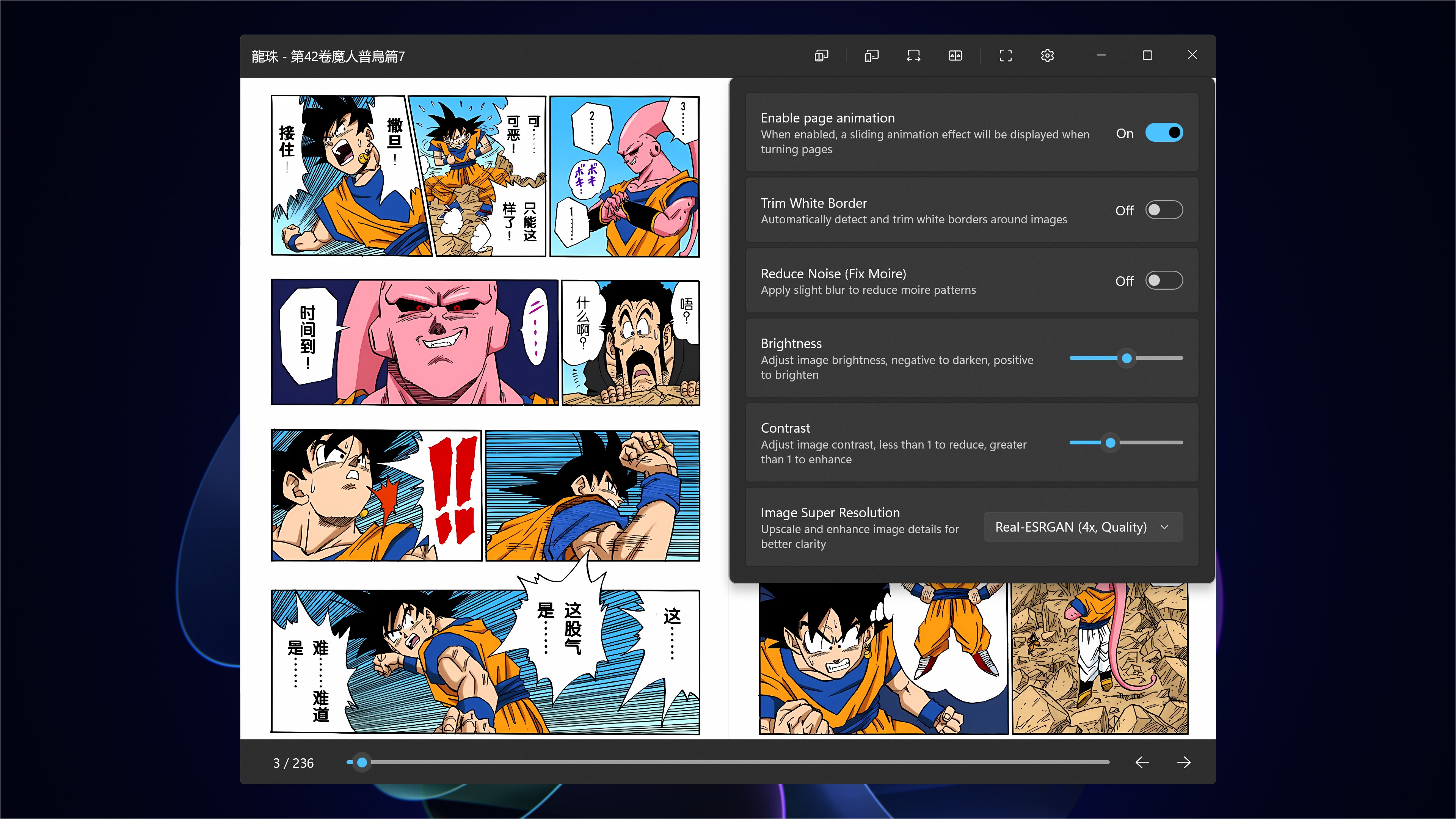 Rodel Reader screenshot