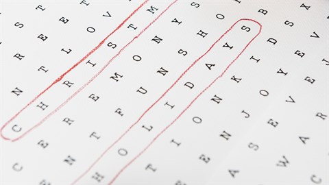 Word Search Challenge