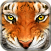 Tiger Simulator 3D Wildlife