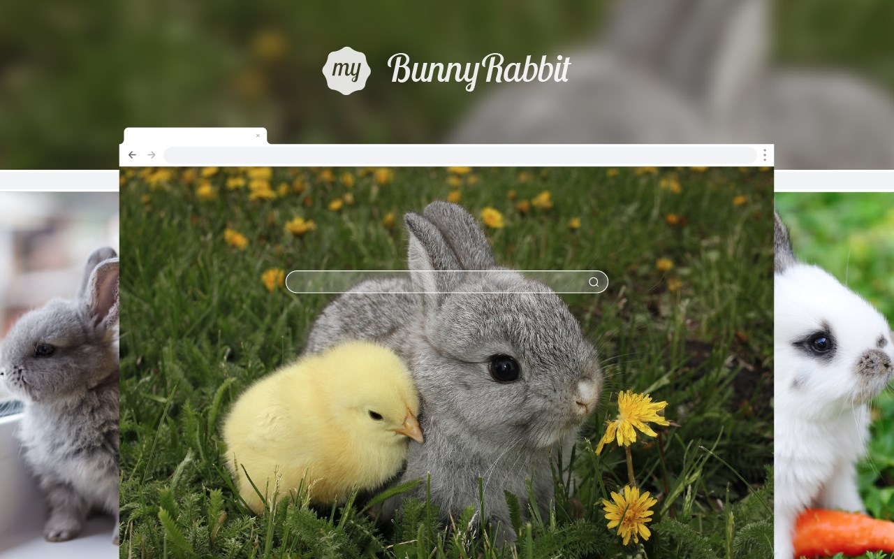 My Bunny Rabbit HD Wallpapers New Tab Theme