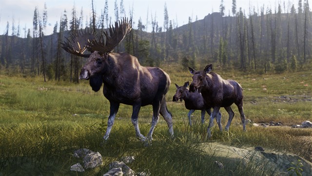 Way of the Hunter 2 screenshot 4