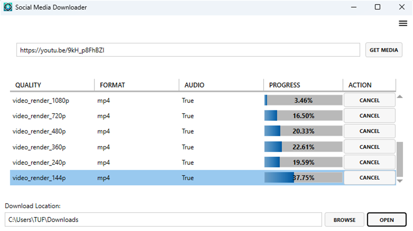 Social Media Video Downloader screenshot 1