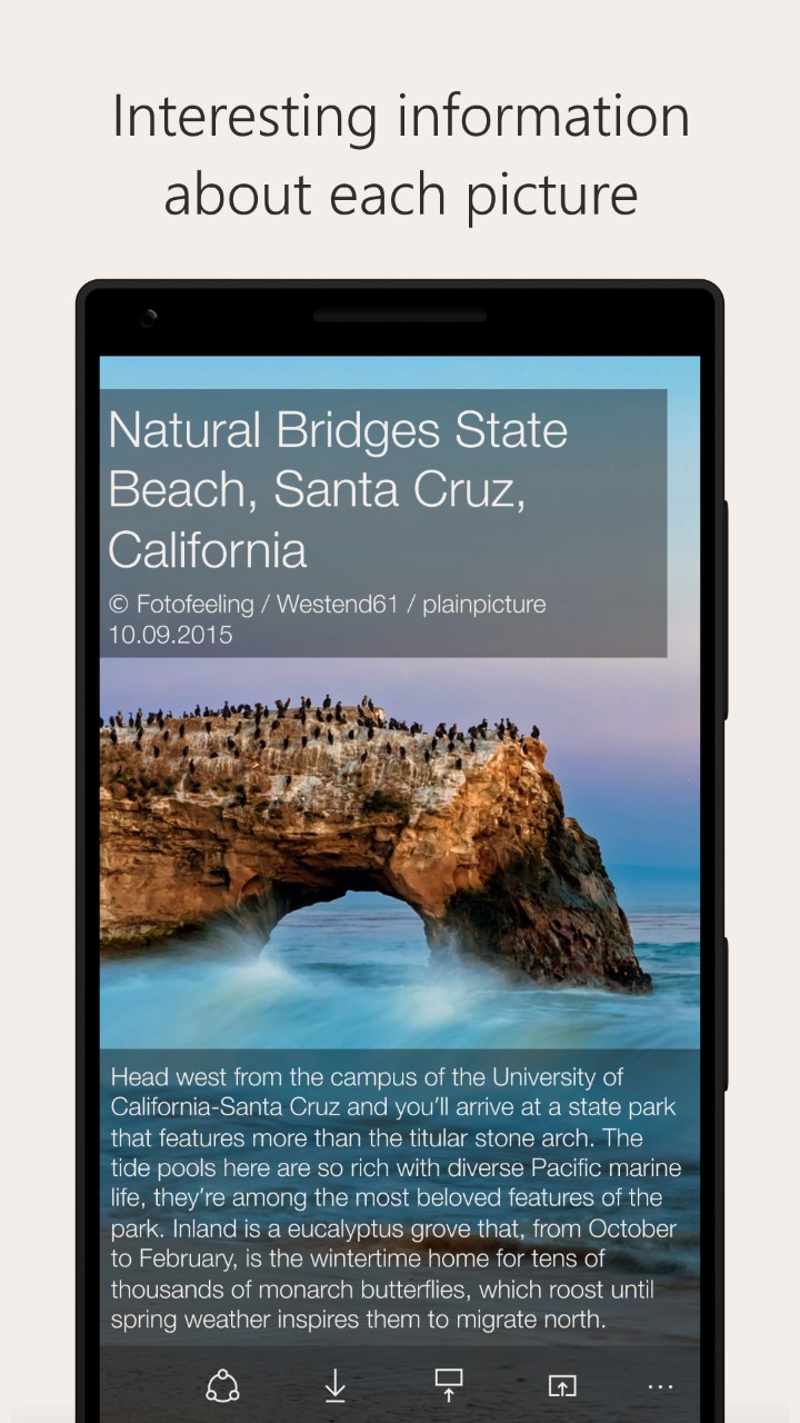 automatically download bing wallpaper on Dailypic For Windows 10