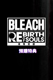 BLEACH 魂魄覺醒 - 千年血戰篇服裝套組：日番谷冬獅郎＆四楓院夜一