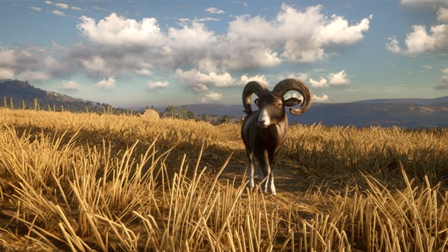 theHunter: Call of the Wild - Cuatro Colinas Game Reserve screenshot 2