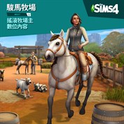 沒有可用的標題