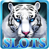 Animal Slot Machines
