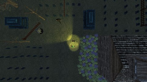 Dark Tale - Lone Survivor