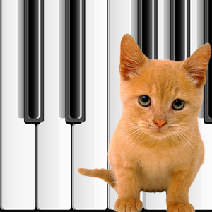 Cat Piano Free