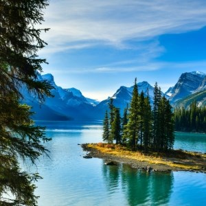 Jasper Serene Sanctuary