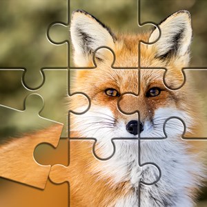 Jigsaw - Animal Jigsaw Puzzles