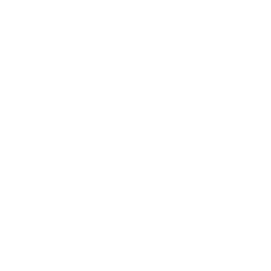 Infor Field Inspector