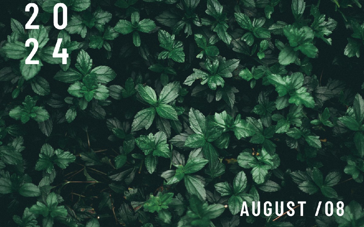 August Nature Wallpaper New Tab