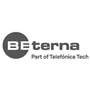 BE-terna Professional Services icon