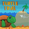 Turtle Trial