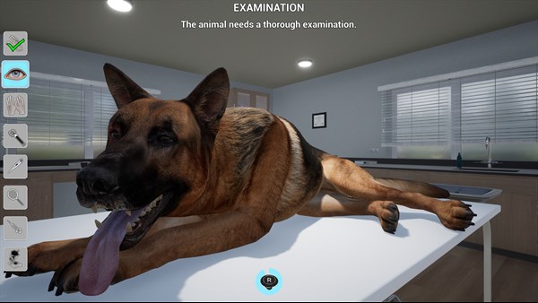 My Life: Pet Vet screenshot