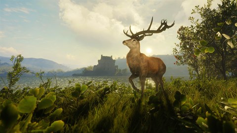 theHunter: Call of the Wild™ - Scotland Hunting Reserve