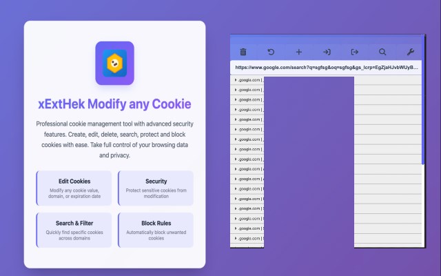 xExtHek Modify any Cookie