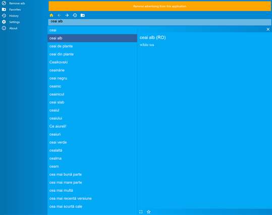 Romanian-English dictionary screenshot 1