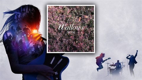 "Pictures of Girls" - Wallows