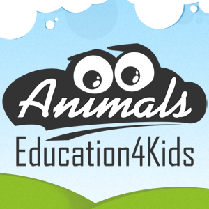 Animals Education4Kids