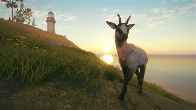 theHunter Call of the Wild - Te Awaroa National Park screenshot 2