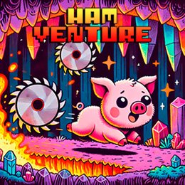 Aperçu HAMVENTURE (WINDOWS)