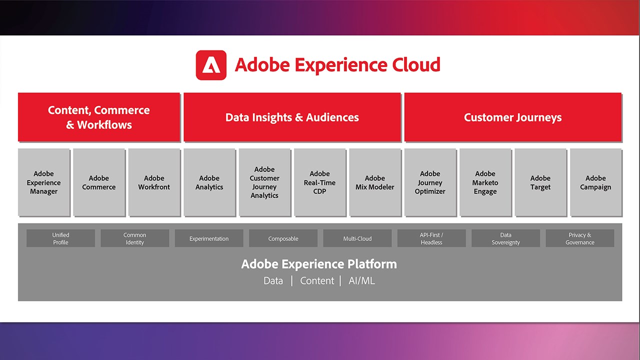 Snapshot 1 of Adobe Digital Experience