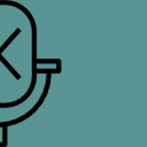 Mute Microphone