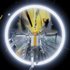 Multidimensions and Dreams