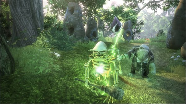 Fable II — 8