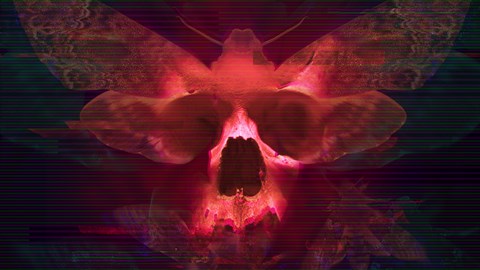 Transient: Extended Edition