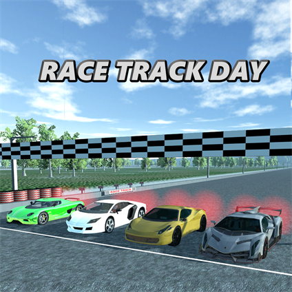 Race Track Day