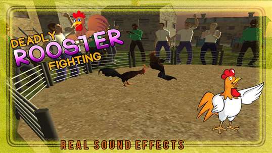 Deadly Rooster Fighting 2016 screenshot 2