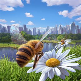 Aperçu Bee Simulator