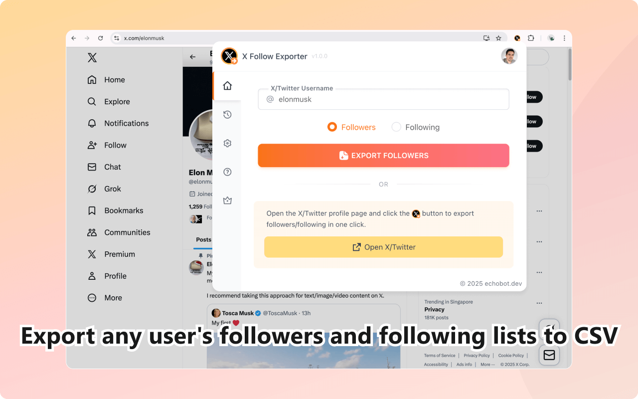 XFollowExporter - Export X/Twitter Followers & Following