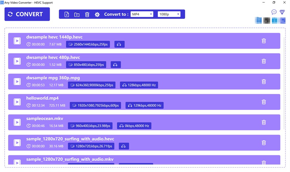 Any Video Converter - HEVC Support_2