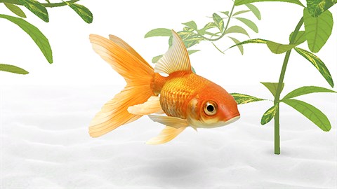 AAA Dynamic Scenes - Golden Fish Aquarium Dynamic Scene